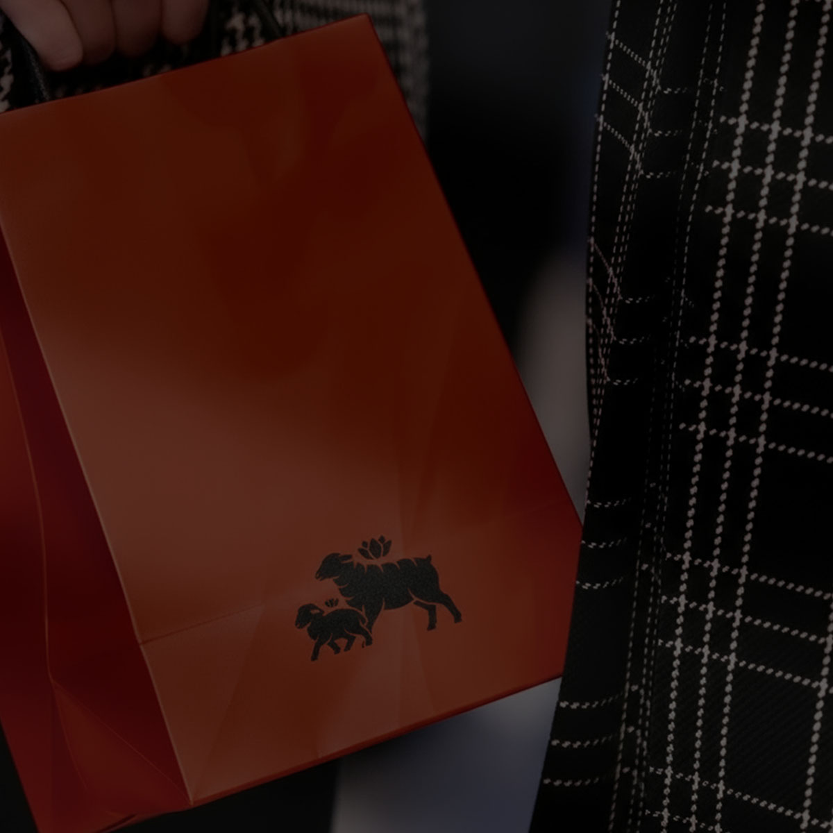 Woolfield Interior Studio brand system and collateral